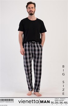 Брюки мужские VM40668