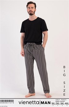 Брюки мужские VM31374