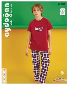 Комплект подростковый футболка брюки AYD250279